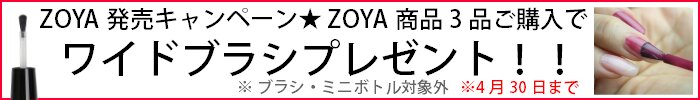 ブラシプレゼント