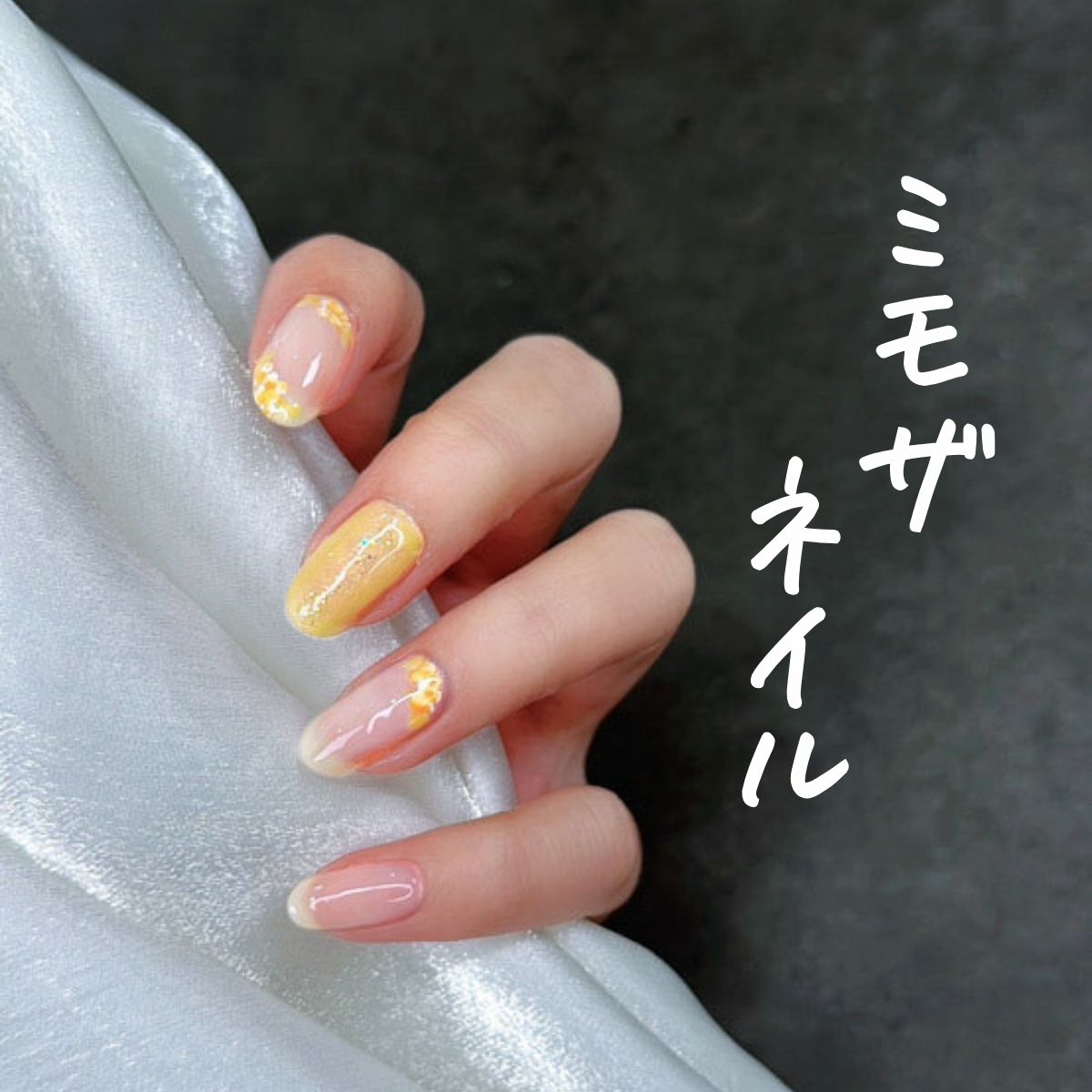 ミモザ