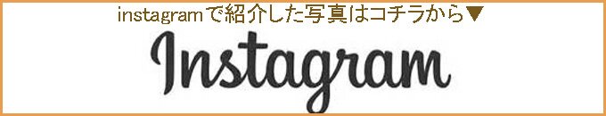 インスタ掲載写真紹介ページ