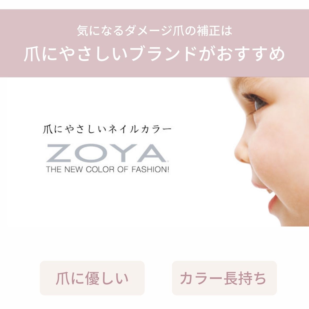 ZOYAの説明